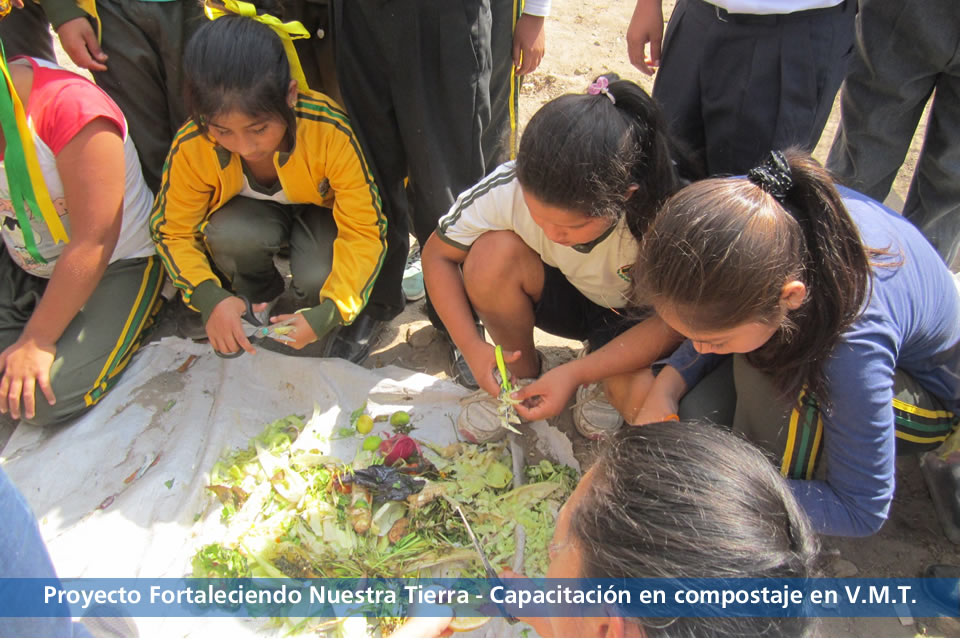 Cuidado del Medio Ambiente